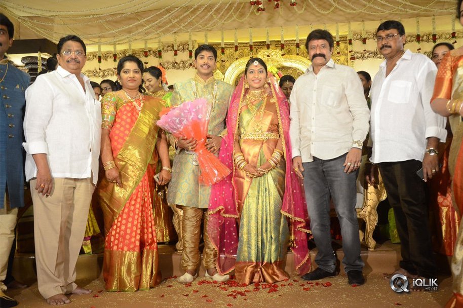 Celebs-at-C-Kalyan-Son-Wedding-Reception
